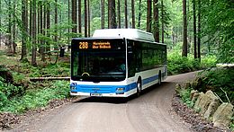 Ein Bus der Harzer Verkehrsbetriebe ist auf einem Waldweg unterwegs