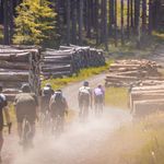 Fahrräder fahren auf einem Waldweg an Holzstappeln vorbei.